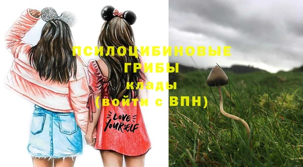 дурь Сафоново