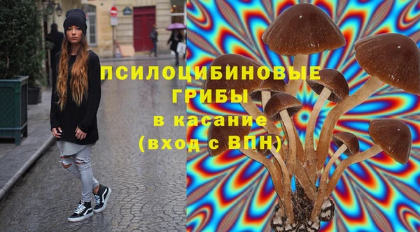 дурь Сафоново