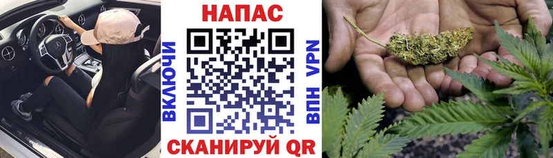 Бошки марихуана план Купить где Нерехта